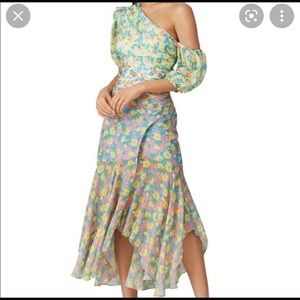 Amur Flora Asymmetrical Midi Dress Size 4